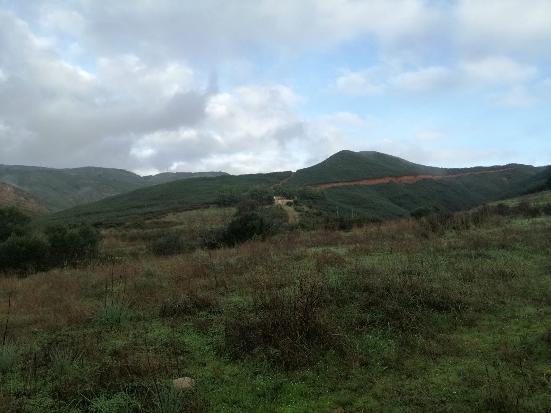 Ceremony in the land — breathe, walk, listen, feel